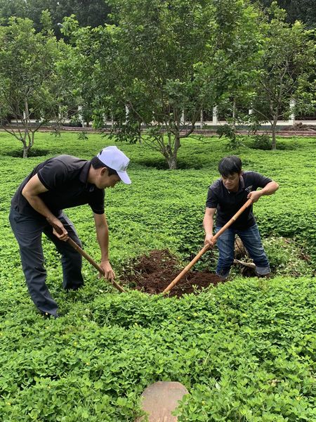Công trình Vườn cây ăn trái của Công đoàn bộ phận Trung tâm chào mừng Đại hội Công đoàn Viên chức tỉnh, nhiệm kỳ 2023 – 2028